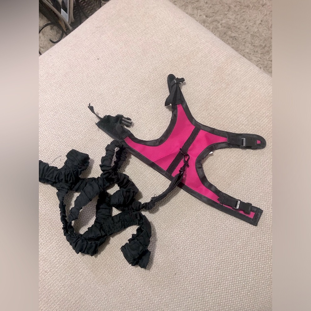 Kaytee Comfort Harness with Stretchy Leash